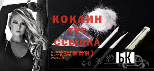 дмт Пересвет