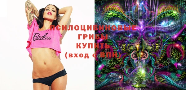стаф Беломорск