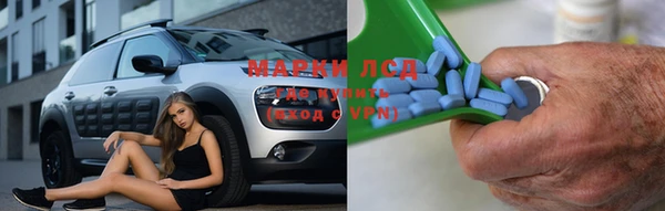 дмт Пересвет