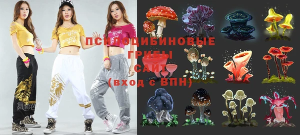 прущие крисы Белоозёрский