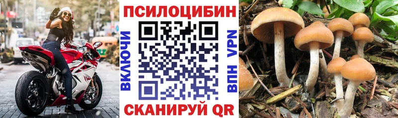 Псилоцибиновые грибы мицелий  Кыштым 